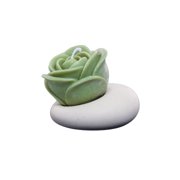 The Rose Flame