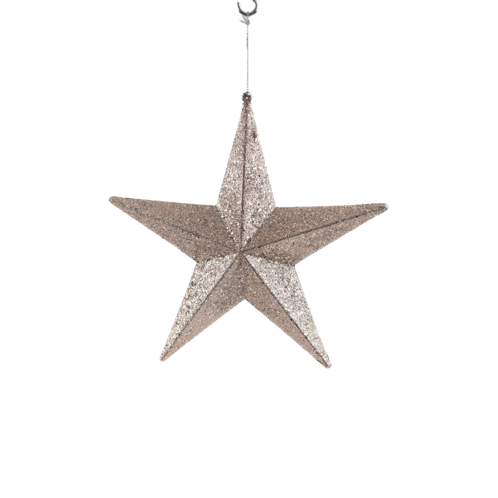 Hanging Gold Star (Medium)