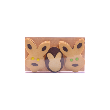 Chocolate Rabbit Sable