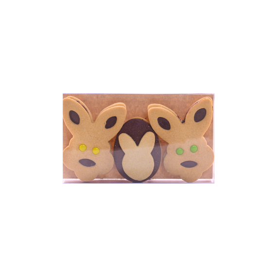 Chocolate Rabbit Sable