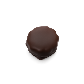 Sablé Dipped in Dark Chocolate