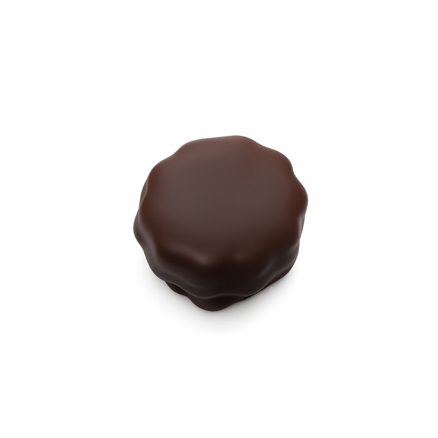 Sablé Dipped in Dark Chocolate – The Good Family - SESOBEL