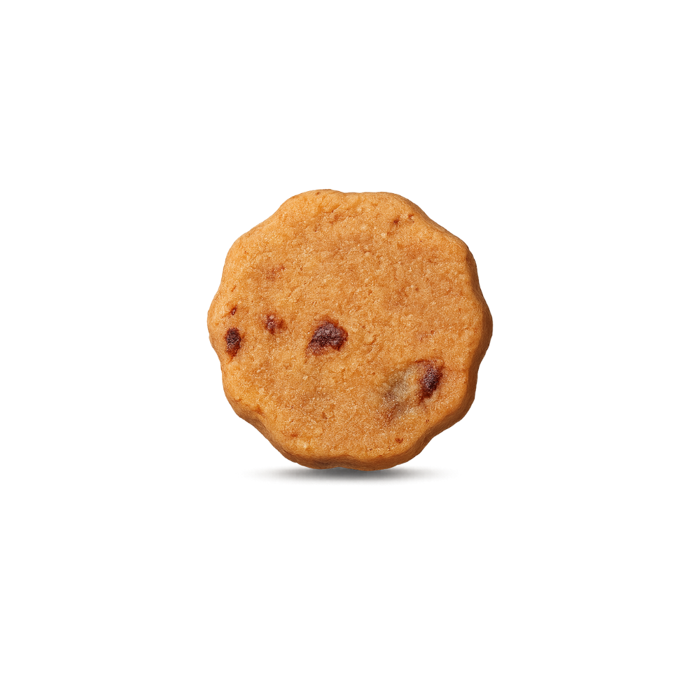 Cranberry Cookies